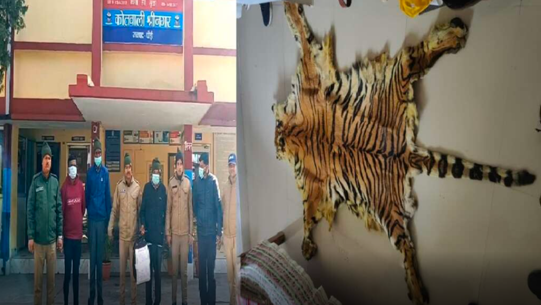 श्रीनगर क्षेत्र से सामने आया एक मामला जहाँ गुलदार की खाल की तस्करी का हुआ भंडाफोड़ ।